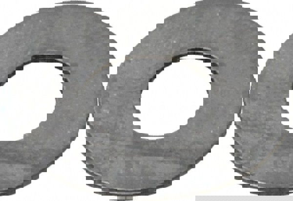 Needle Roller Bearing: 0.313